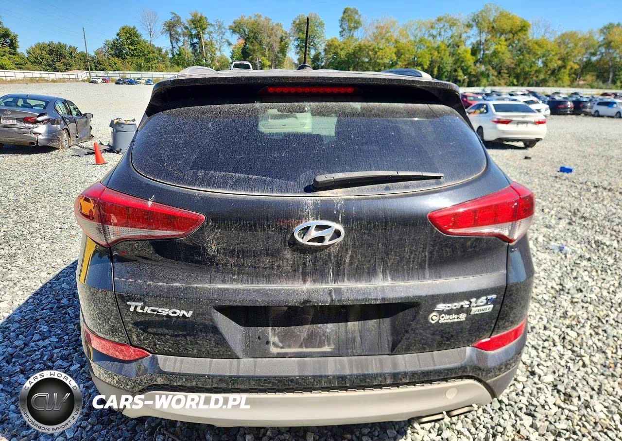 2017 Hyundai Tucson Sport VIN:KM8J3CA21HU301874 - 6