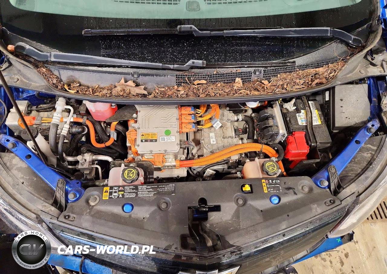 2019 Chevrolet Bolt Ev Premier VIN:1G1FZ6S06K4136492 - 11