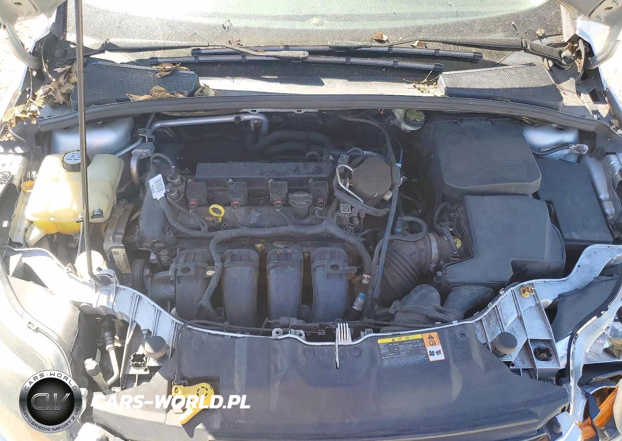 2013 Ford Focus Titanium VIN:1FADP3N2XDL370343 - 11