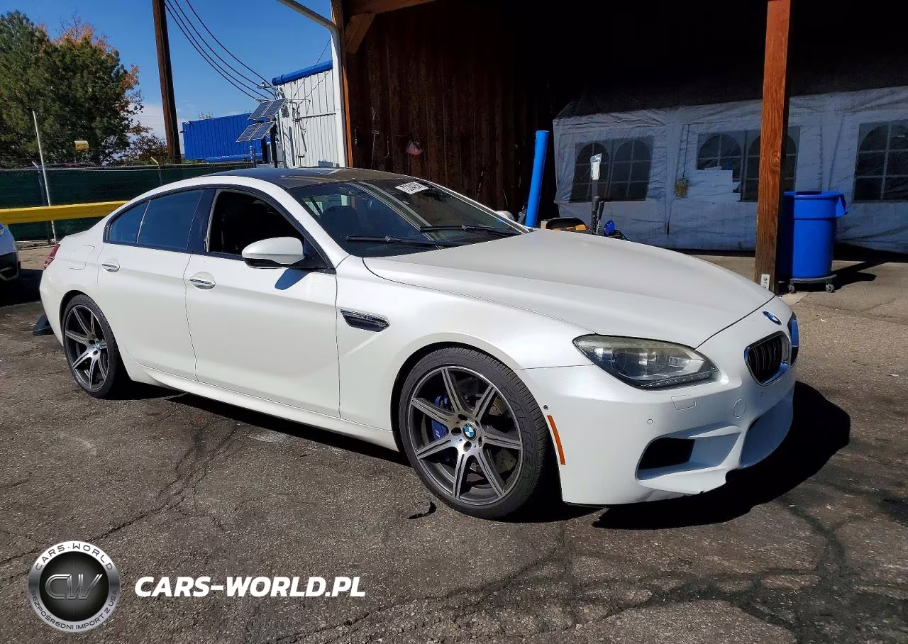 2014 BMW M6 Gran Coupe VIN:WBS6C9C52ED466809 - 4