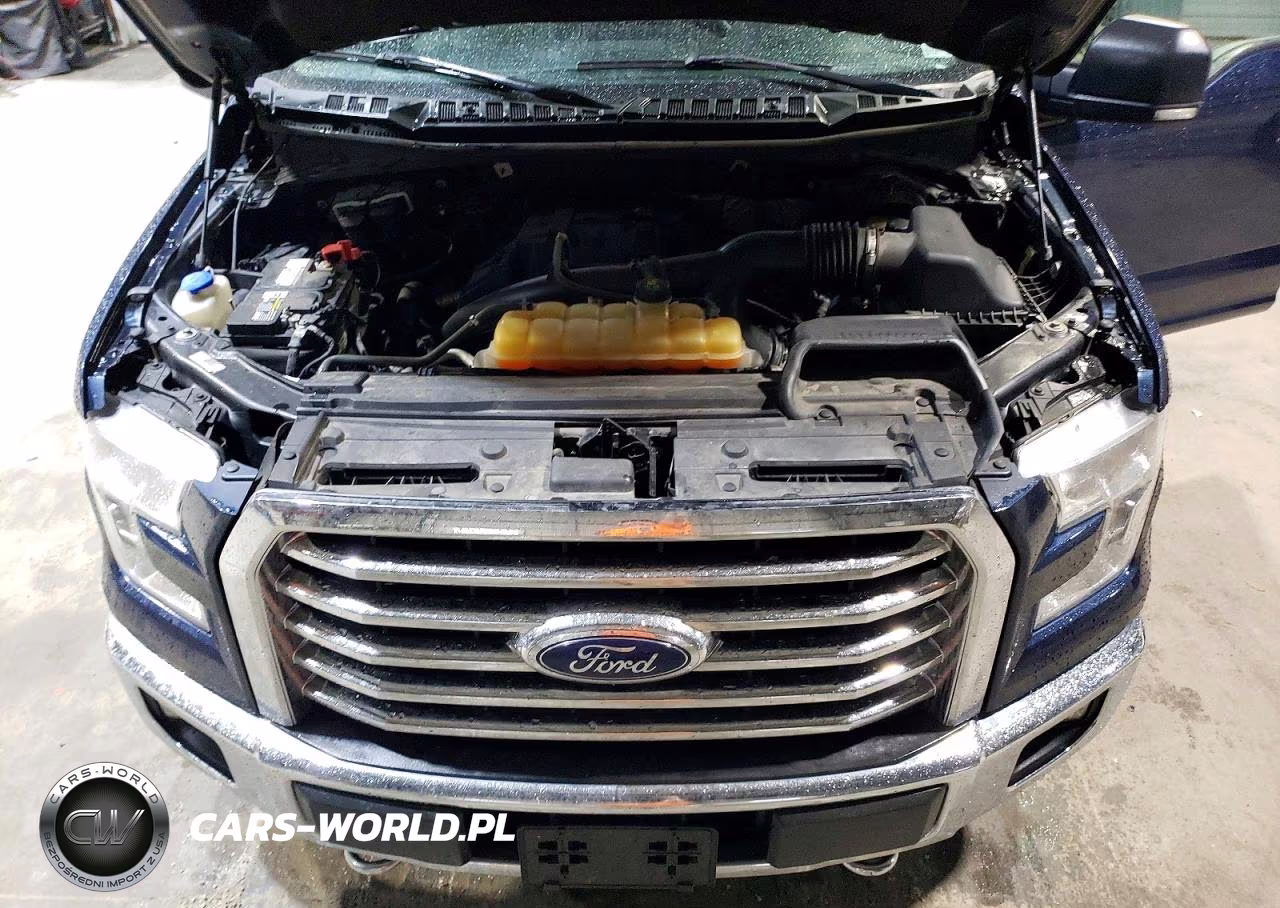 2016 Ford F150 Supercrew VIN:1FTEW1EP6GFA57438 - 11