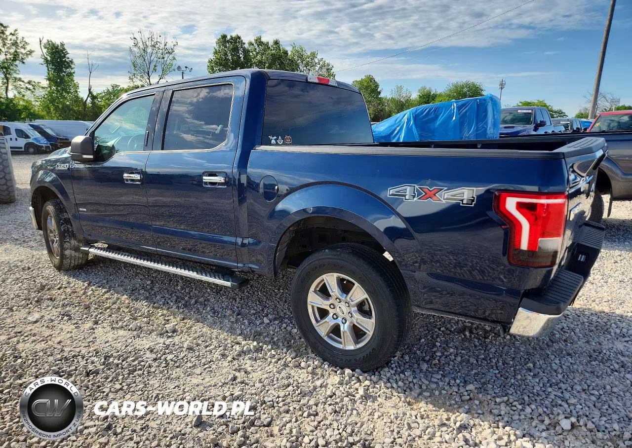 2016 Ford F150 Supercrew VIN:1FTEW1EP6GFA57438 - 2