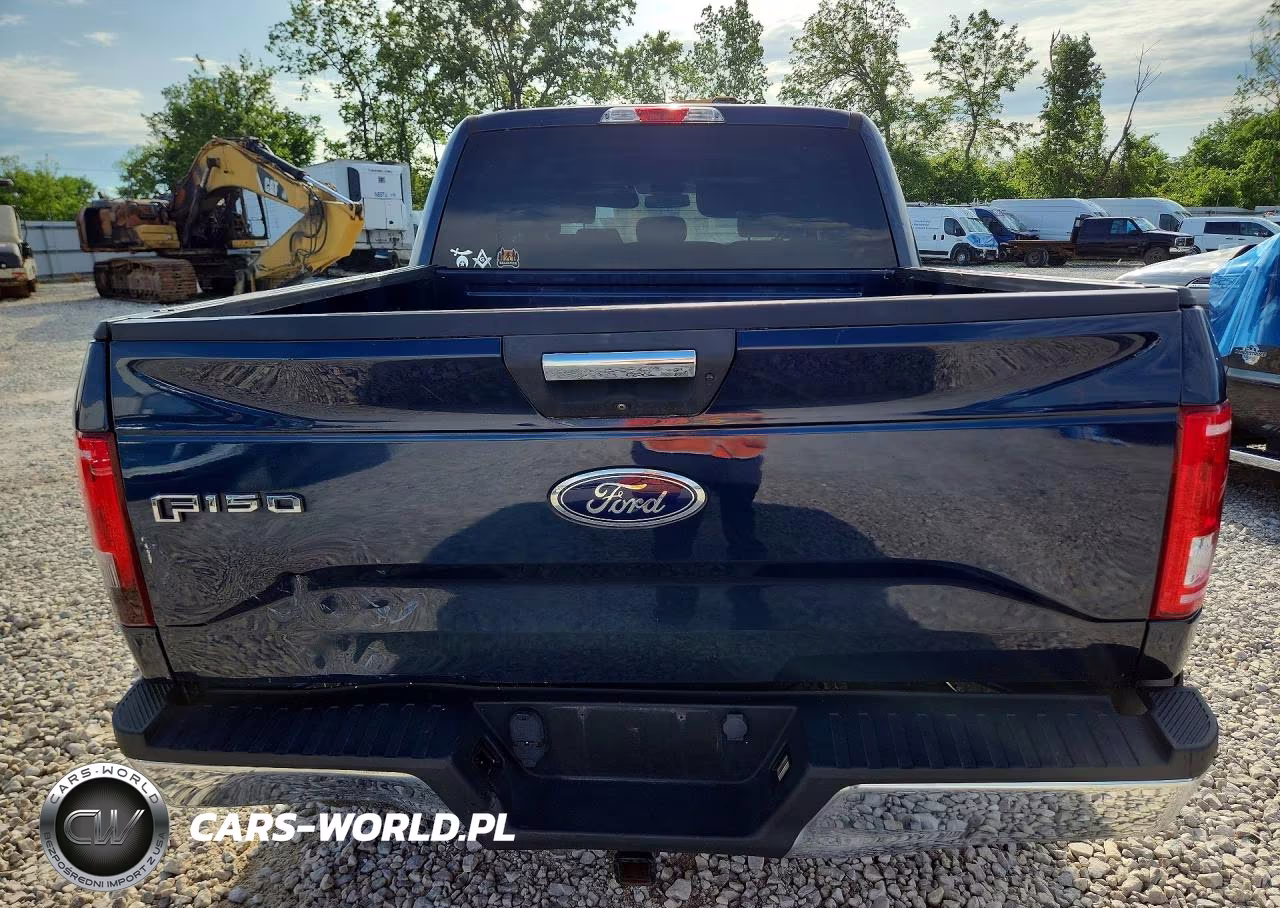 2016 Ford F150 Supercrew VIN:1FTEW1EP6GFA57438 - 6