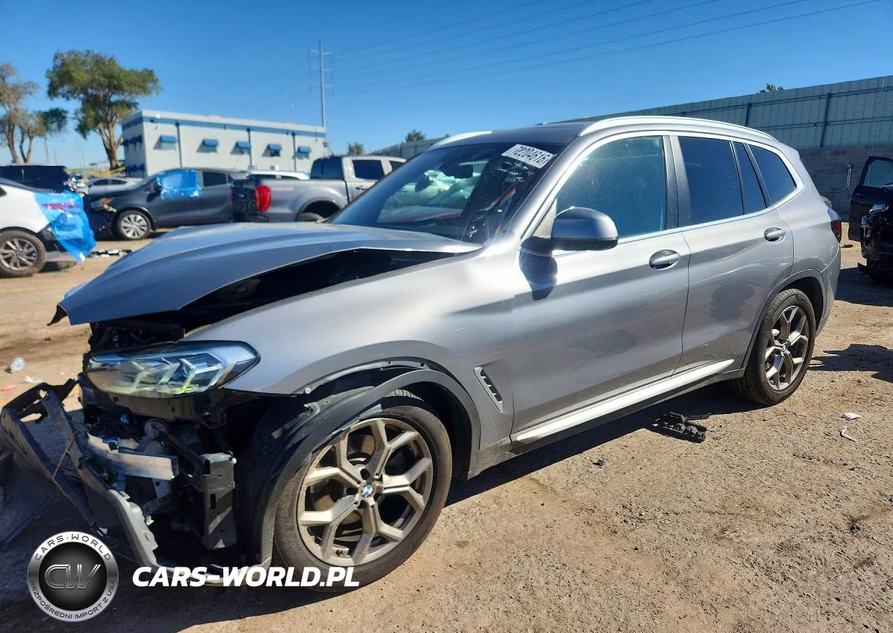 2023 BMW X3 Sdrive30I VIN:5UX43DP00P9S20328 - 1