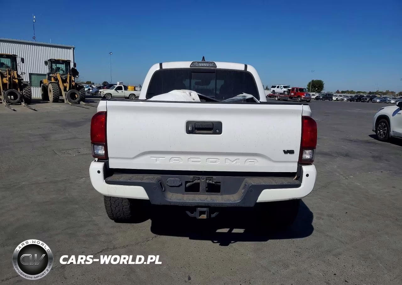 2019 Toyota Tacoma Trd Off-Road VIN:3TMCZ5AN3KM278403 - 6