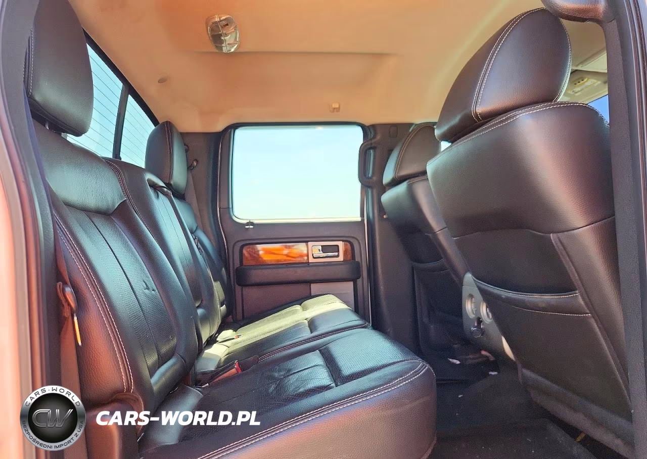 2010 Ford F150 Supercrew VIN:1FTFW1EV6AFC04772 - 10