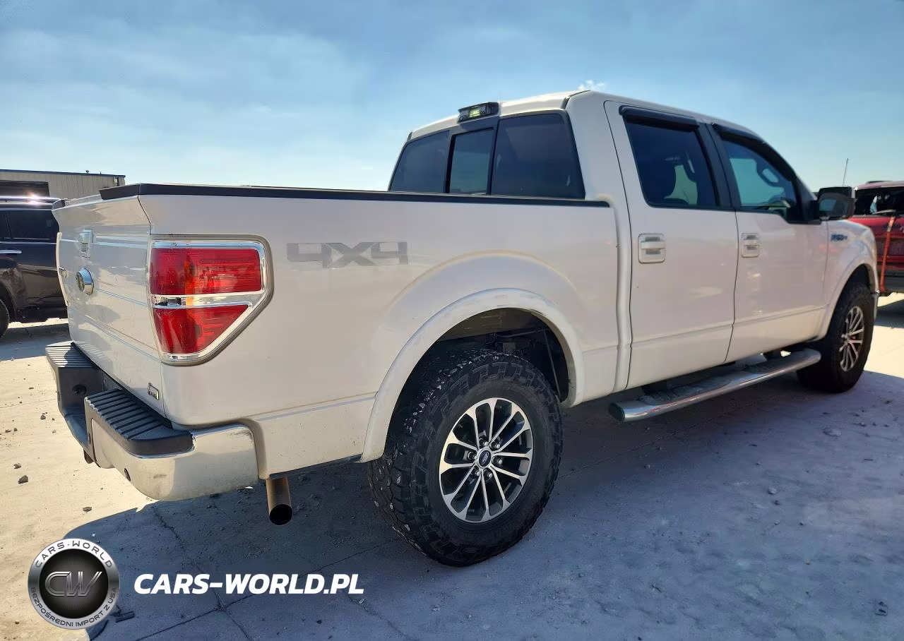 2010 Ford F150 Supercrew VIN:1FTFW1EV6AFC04772 - 3