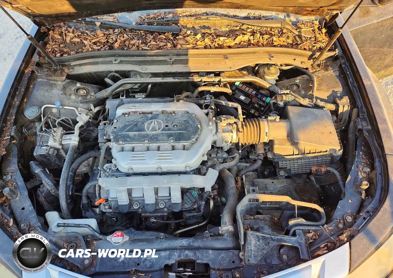 2009 Acura Tl VIN:19UUA86269A002866 - 11