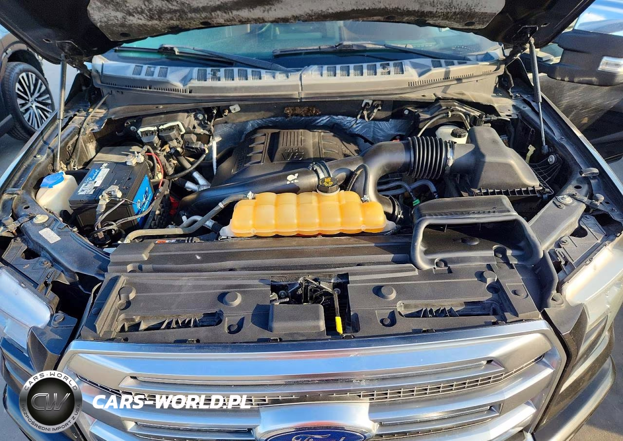 2015 Ford F150 Platinum VIN:1FTEW1EG6FFA29203 - 11