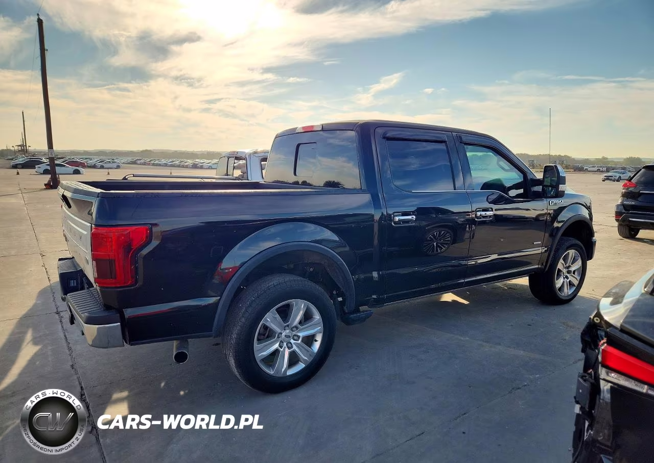 2015 Ford F150 Platinum VIN:1FTEW1EG6FFA29203 - 3