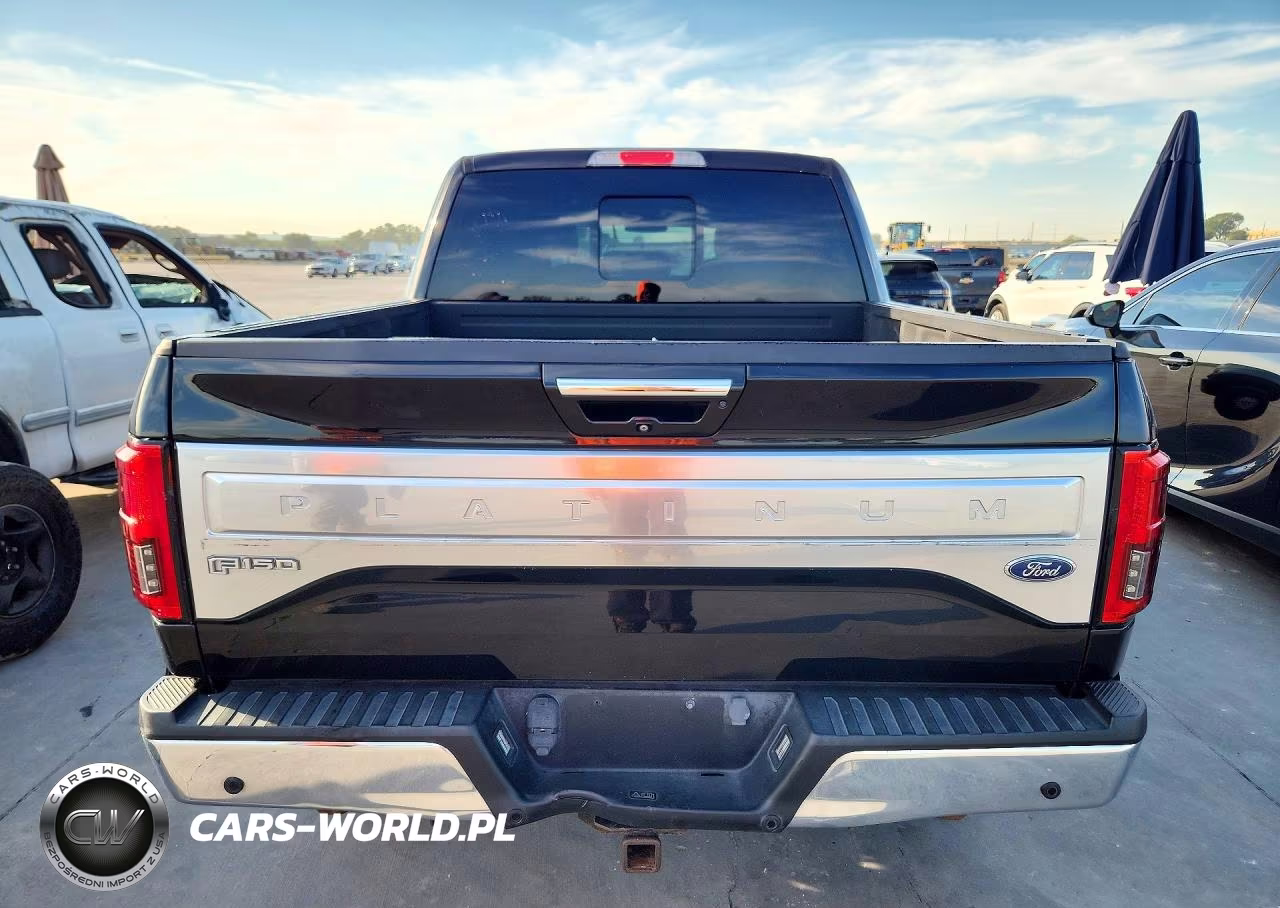 2015 Ford F150 Platinum VIN:1FTEW1EG6FFA29203 - 6
