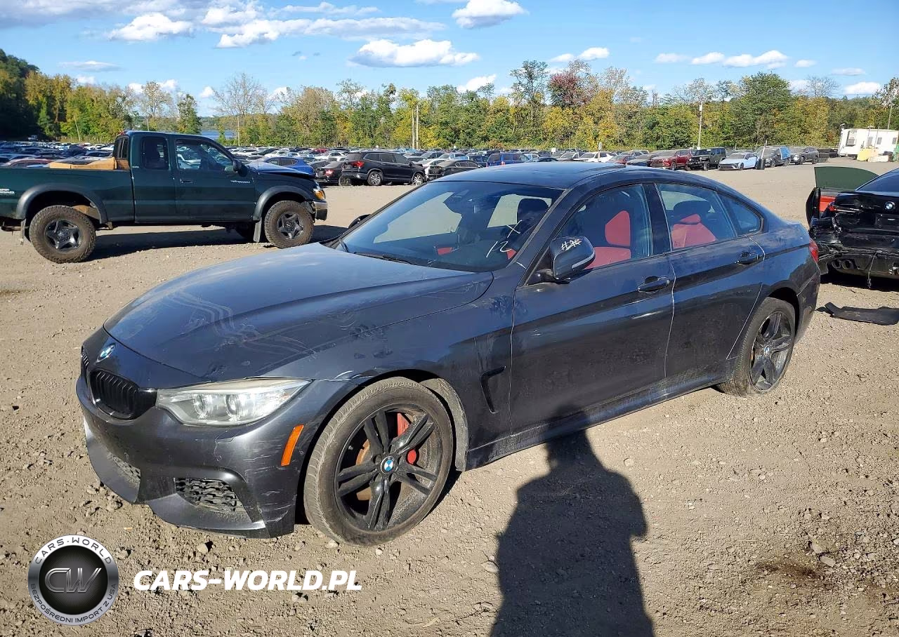 2015 BMW 435I Gran Coupe xDrive VIN:WBA4B3C51FD670403 - 1