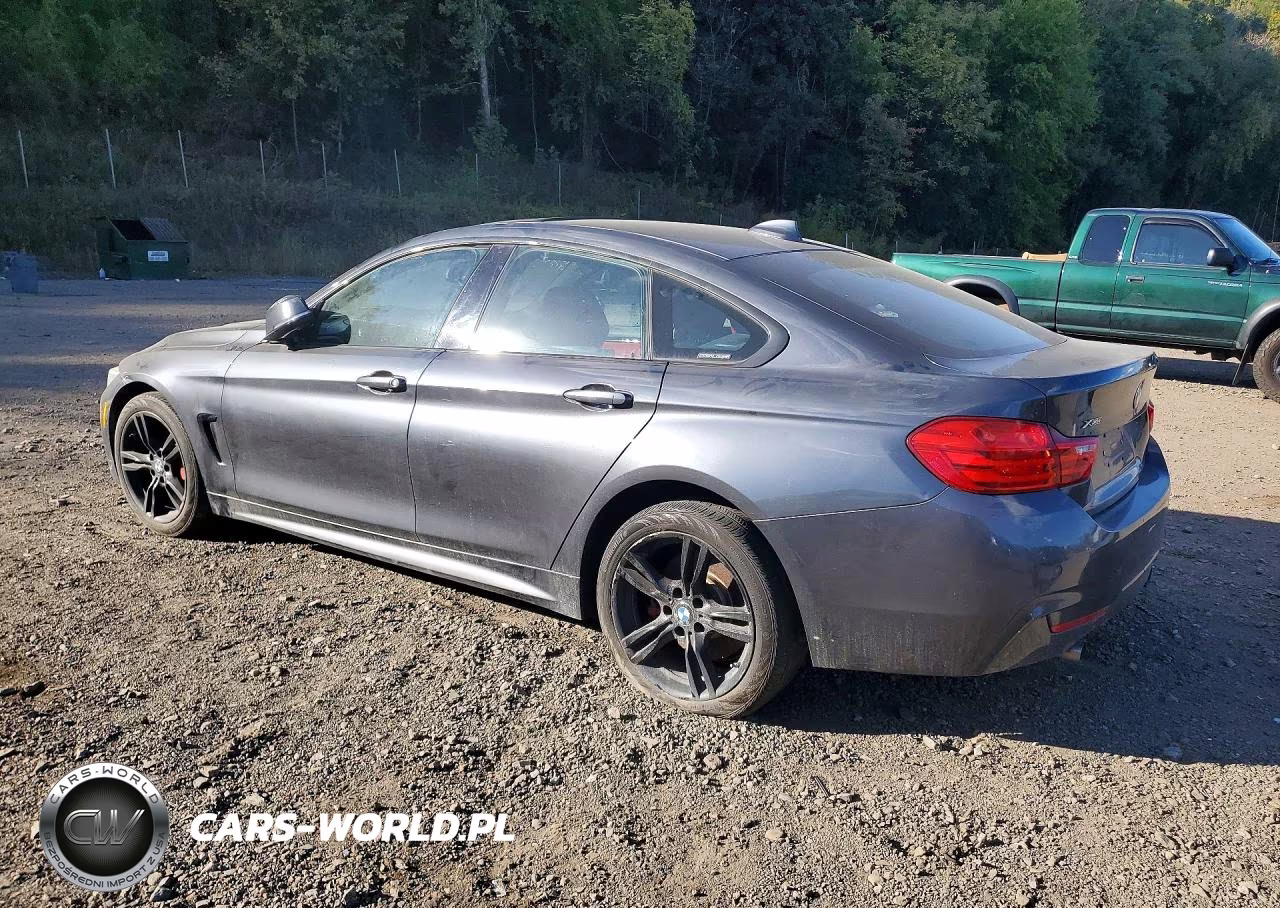 2015 BMW 435I Gran Coupe xDrive VIN:WBA4B3C51FD670403 - 2