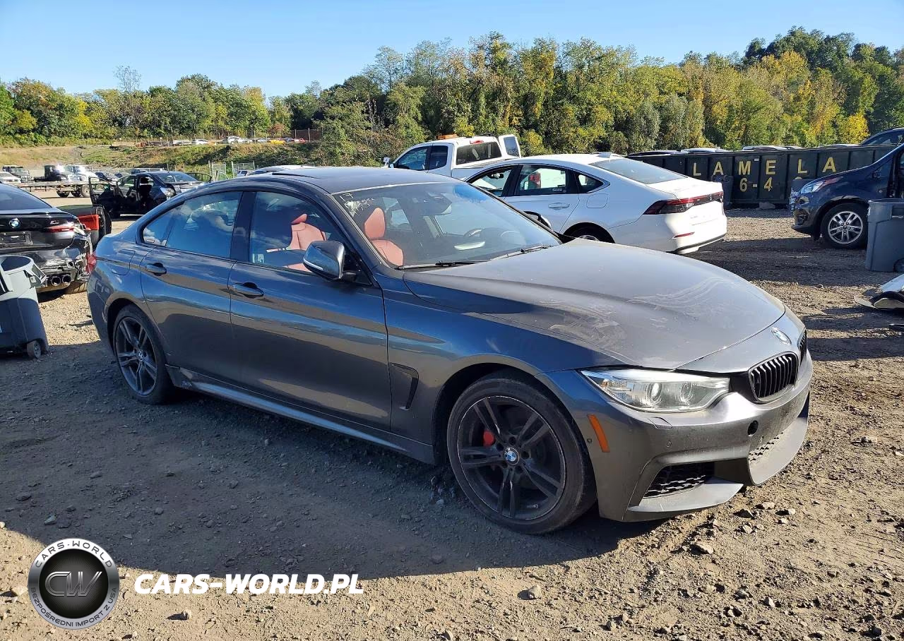 2015 BMW 435I Gran Coupe xDrive VIN:WBA4B3C51FD670403 - 4