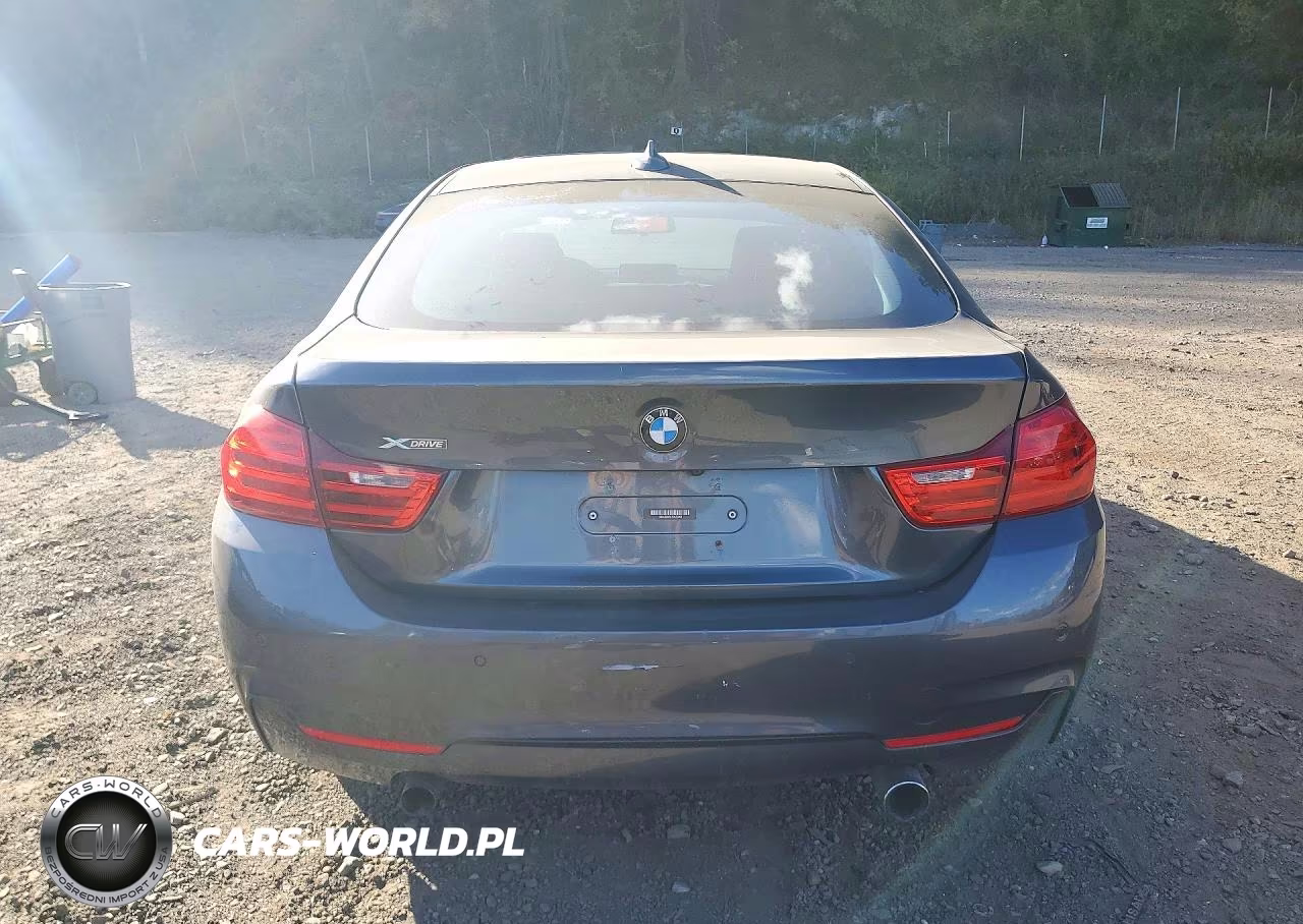 2015 BMW 435I Gran Coupe xDrive VIN:WBA4B3C51FD670403 - 6