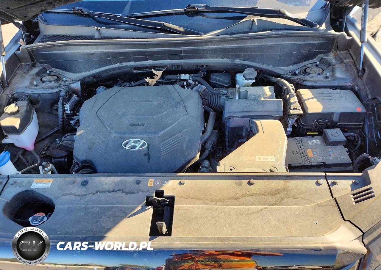 2025 Hyundai Palisade Sel VIN:KM8R24GE6SU877769 - 12