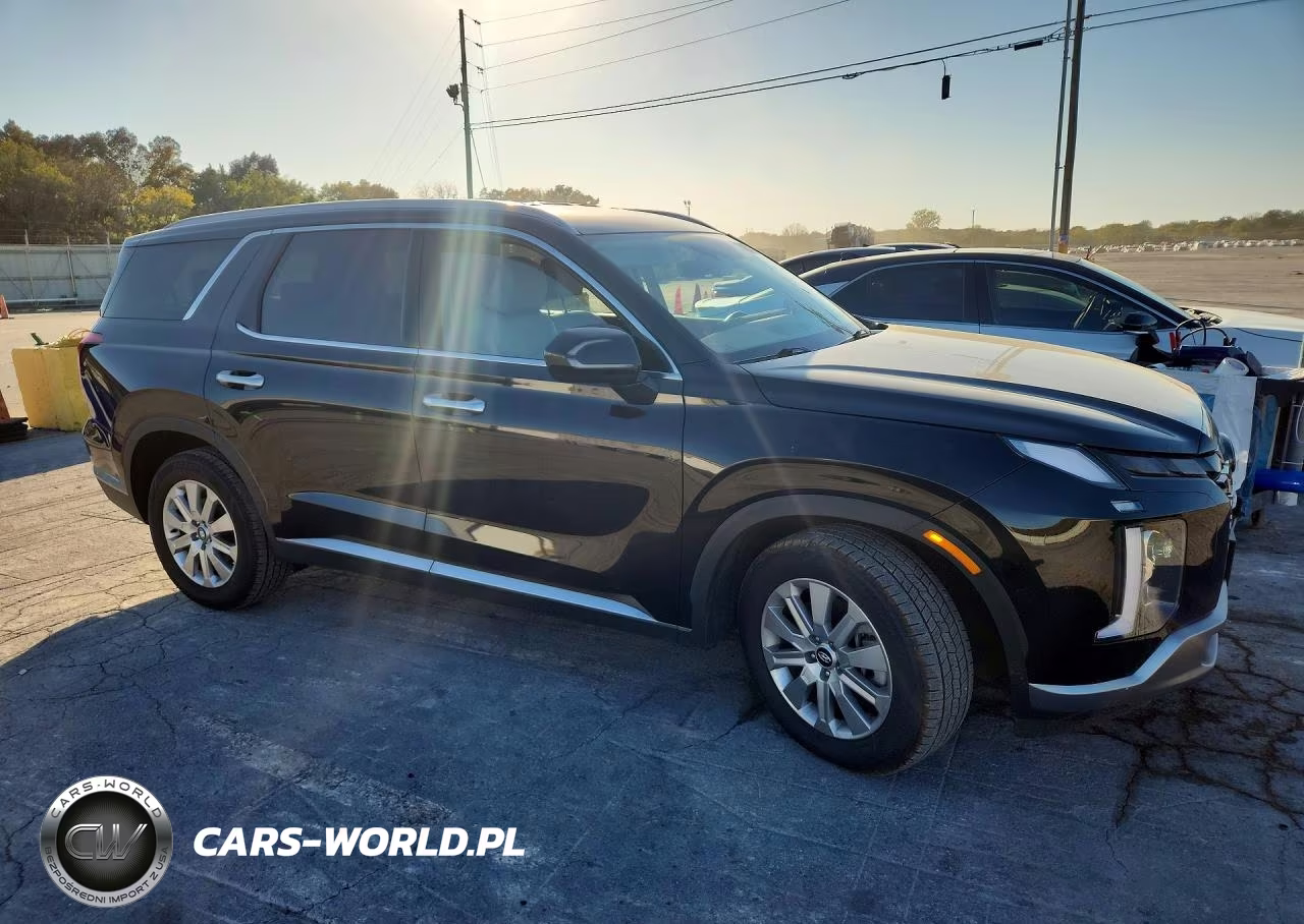 2025 Hyundai Palisade Sel VIN:KM8R24GE6SU877769 - 4