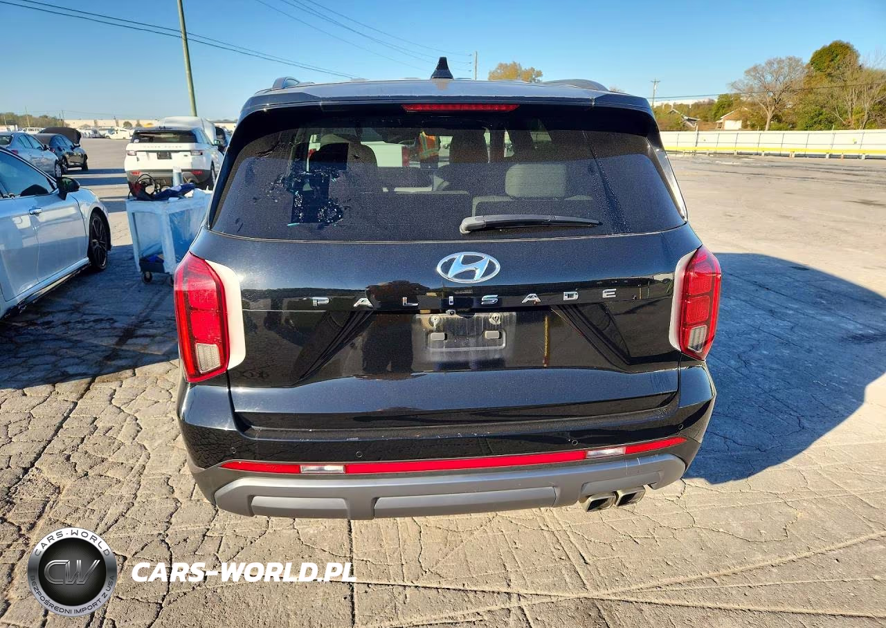 2025 Hyundai Palisade Sel VIN:KM8R24GE6SU877769 - 6