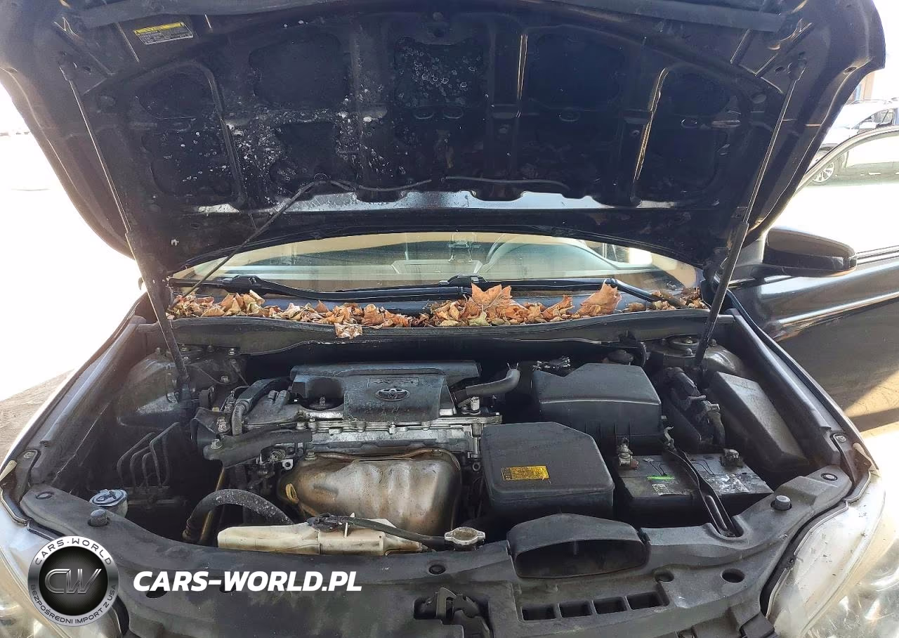 2015 Toyota Camry Se VIN:4T1BF1FK3FU052015 - 11