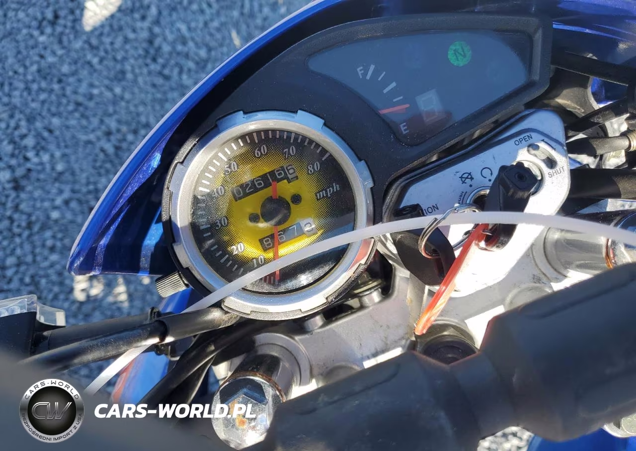 2020 Other Motorcycle Moped VIN:L9NLARJC7M1700526 - 7