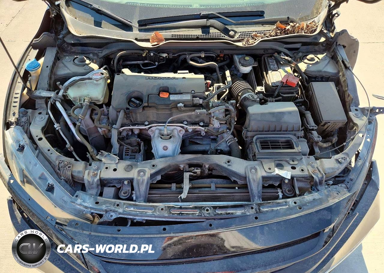 2019 Honda Civic Lx VIN:2HGFC2F62KH504736 - 11