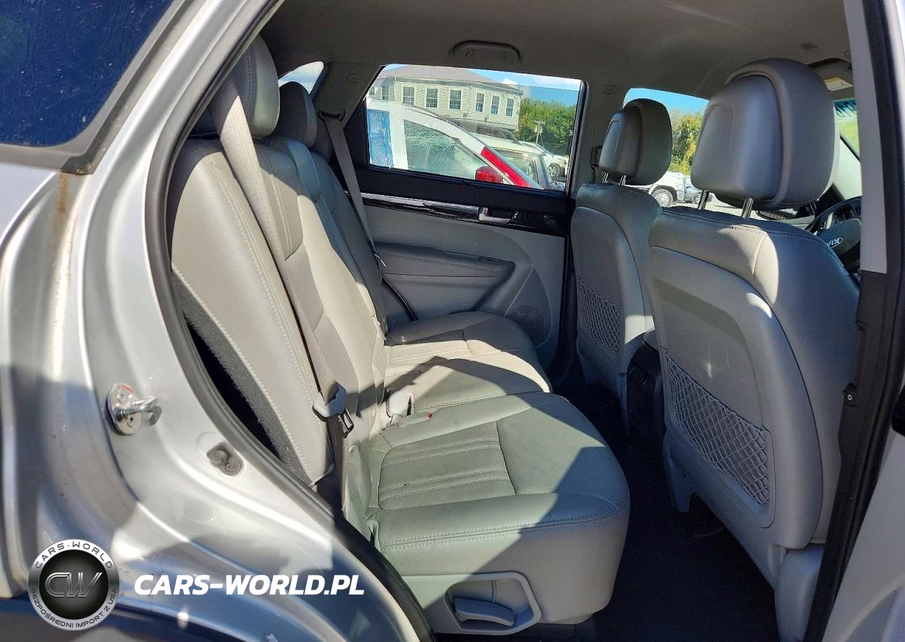 2014 Kia Sorento Lx VIN:5XYKTDA6XEG473769 - 11