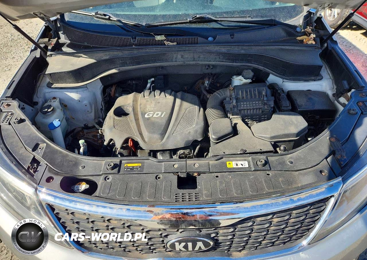 2014 Kia Sorento Lx VIN:5XYKTDA6XEG473769 - 12