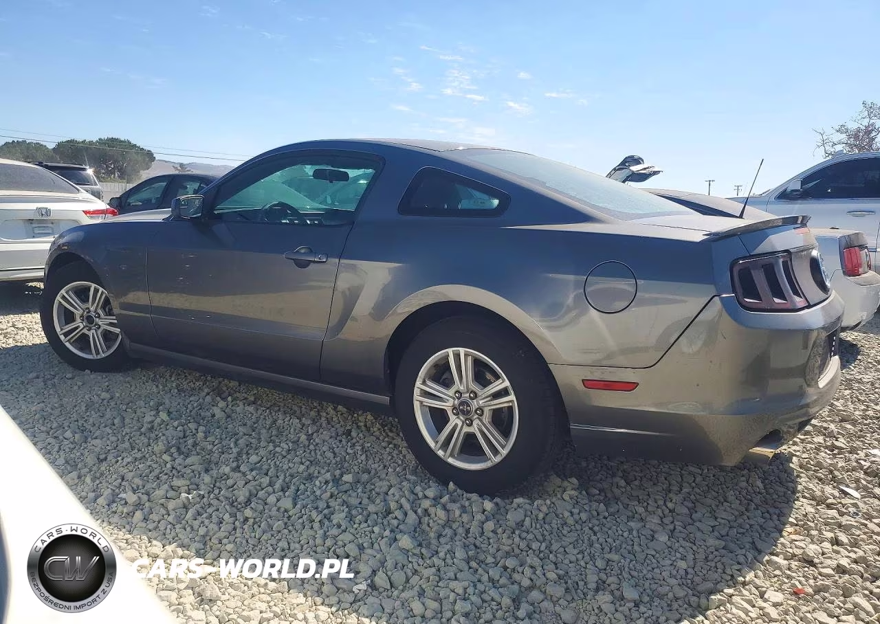 2013 Ford Mustang VIN:1ZVBP8AM9D5255529 - 2