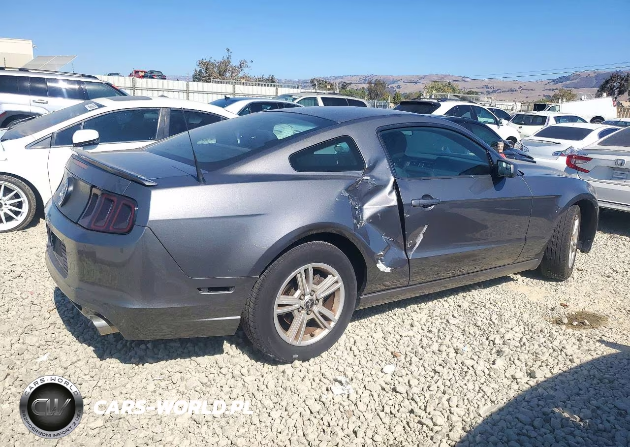2013 Ford Mustang VIN:1ZVBP8AM9D5255529 - 3