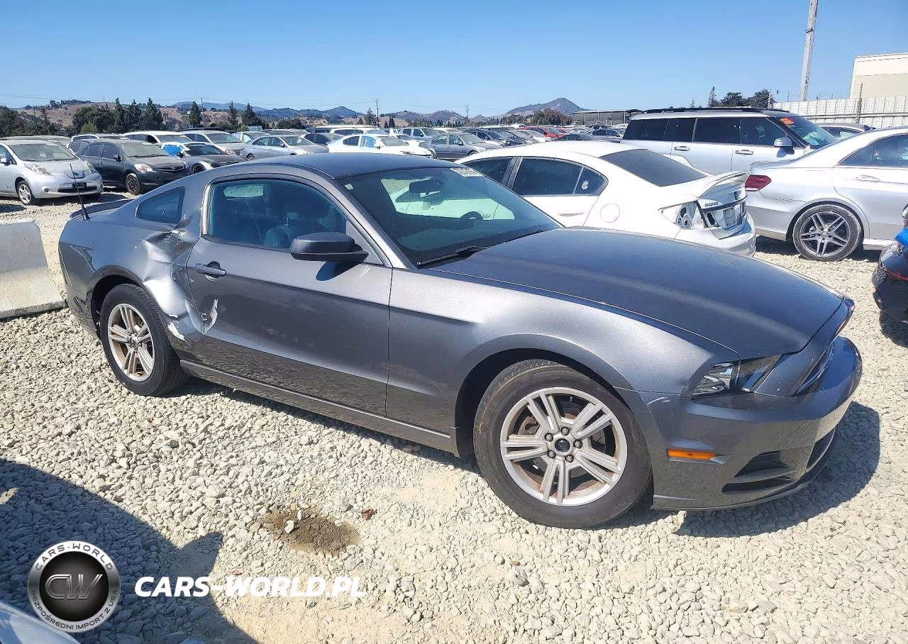 2013 Ford Mustang VIN:1ZVBP8AM9D5255529 - 4