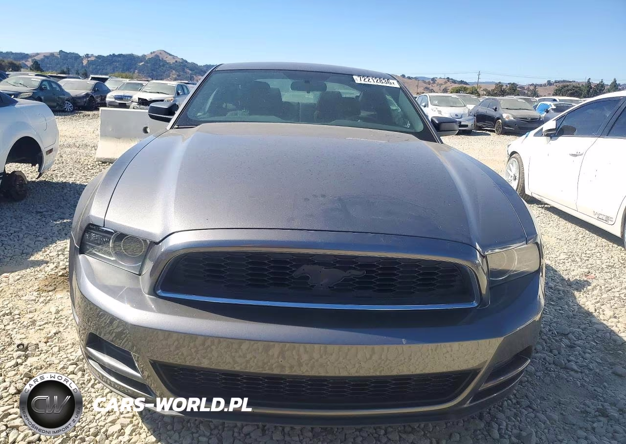 2013 Ford Mustang VIN:1ZVBP8AM9D5255529 - 5