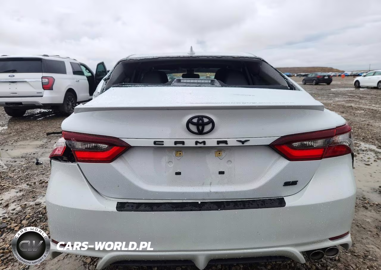 2019 Toyota Camry Se VIN:4T1T11AK8PU133765 - 6