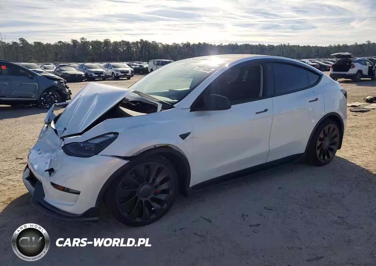 2023 Tesla Model Y