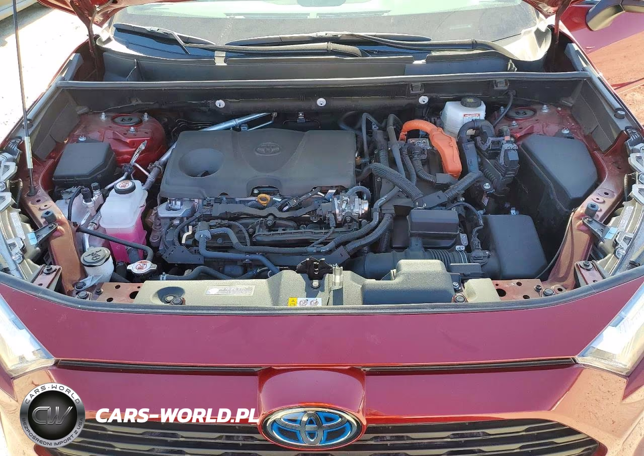 2024 Toyota Rav4 Le VIN:4T3MWRFV8RU161356 - 12