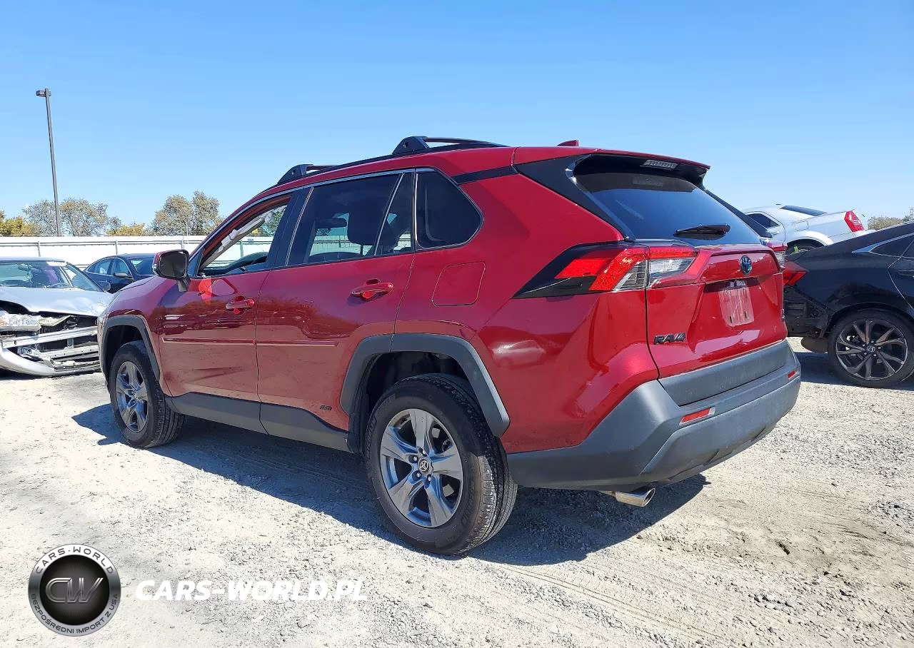 2024 Toyota Rav4 Le VIN:4T3MWRFV8RU161356 - 2