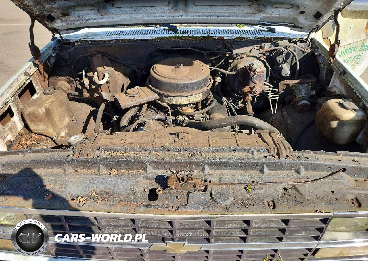 1985 Chevrolet C10 VIN:1GCEC14H4FF449836 - 11