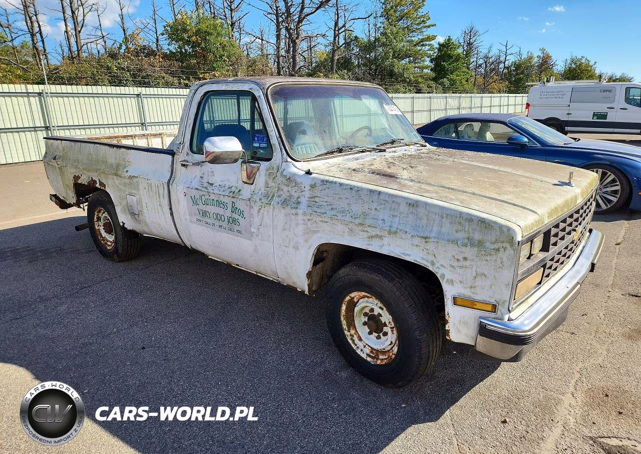 1985 Chevrolet C10 VIN:1GCEC14H4FF449836 - 4