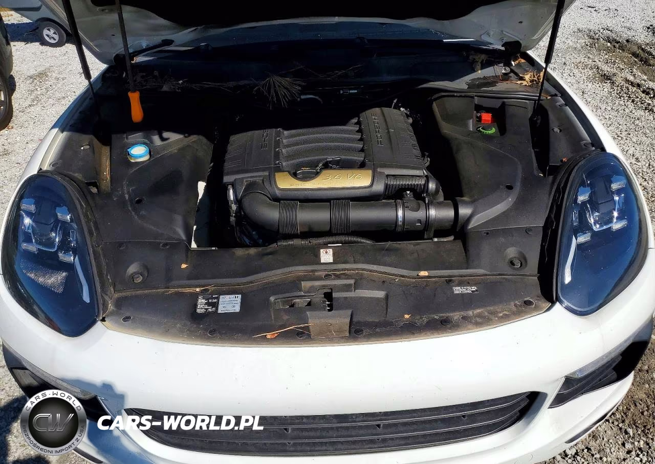 2016 Porsche Cayenne VIN:WP1AA2A29GLA01927 - 12