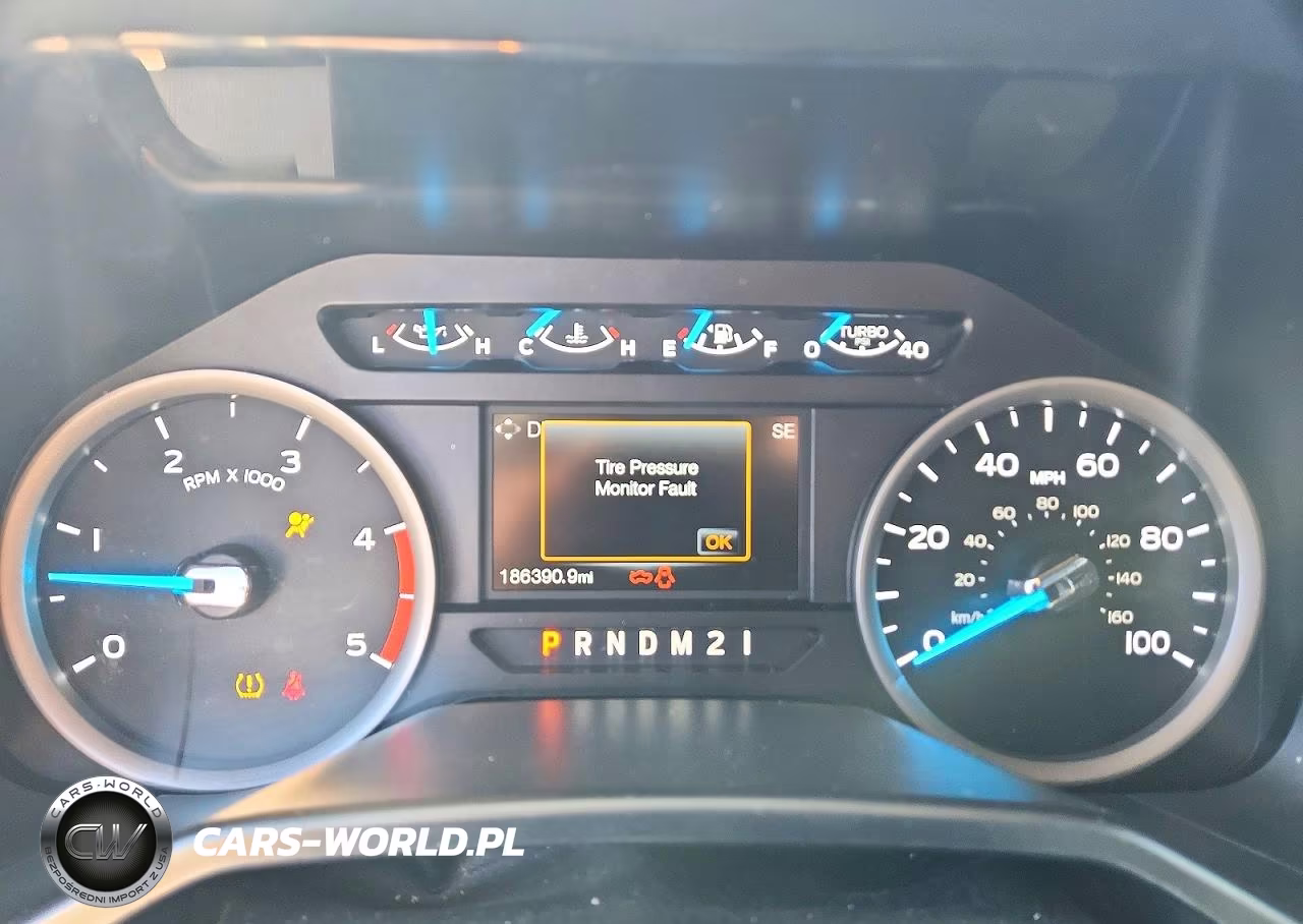 2017 Ford F350 Super Duty VIN:1FT8W3BT0HEB63238 - 9