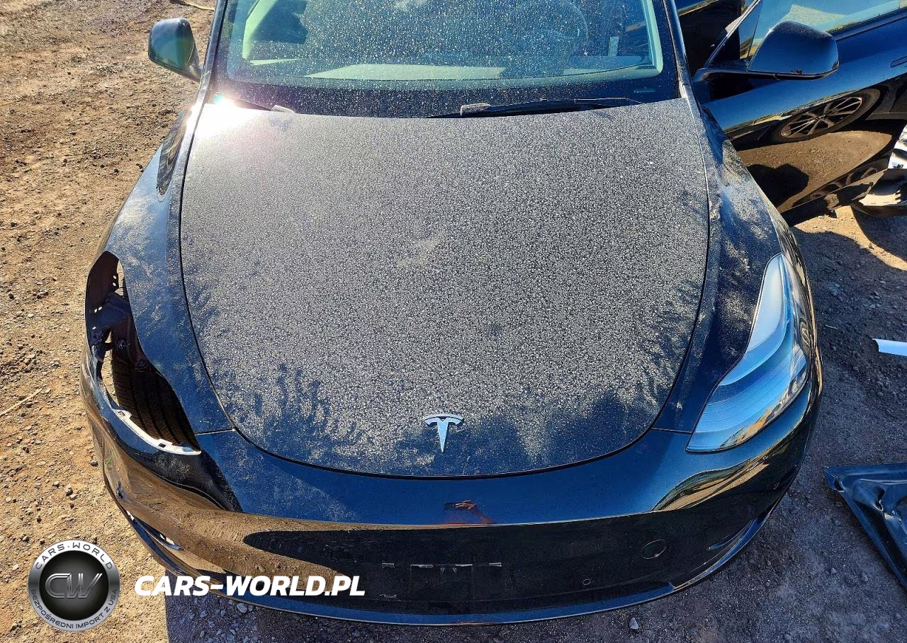 2022 Tesla Model Y VIN:7SAYGDEFXNF443416 - 12