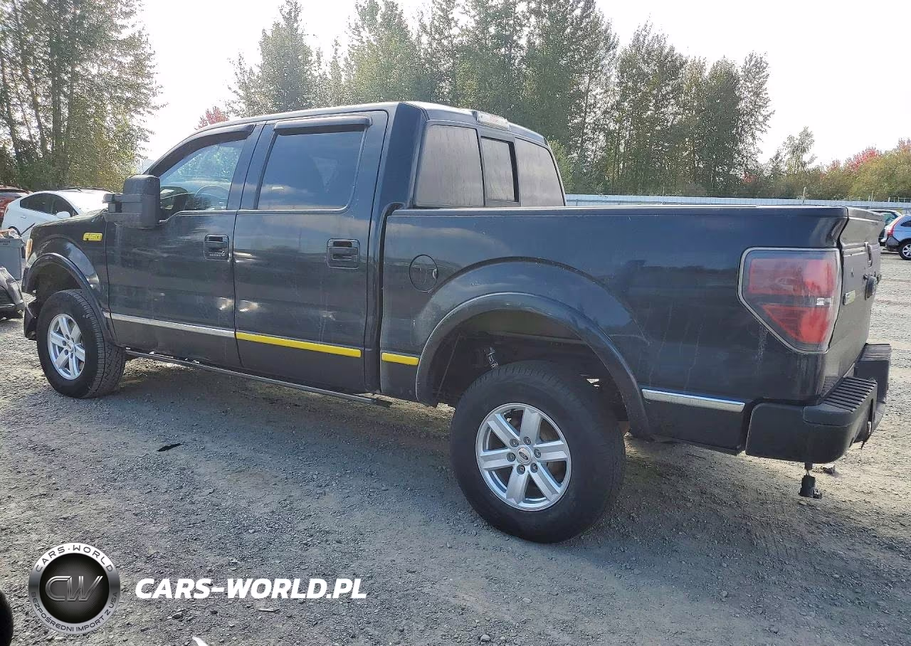 2011 Ford F150 Supercrew VIN:1FTFW1E63BFA51777 - 2