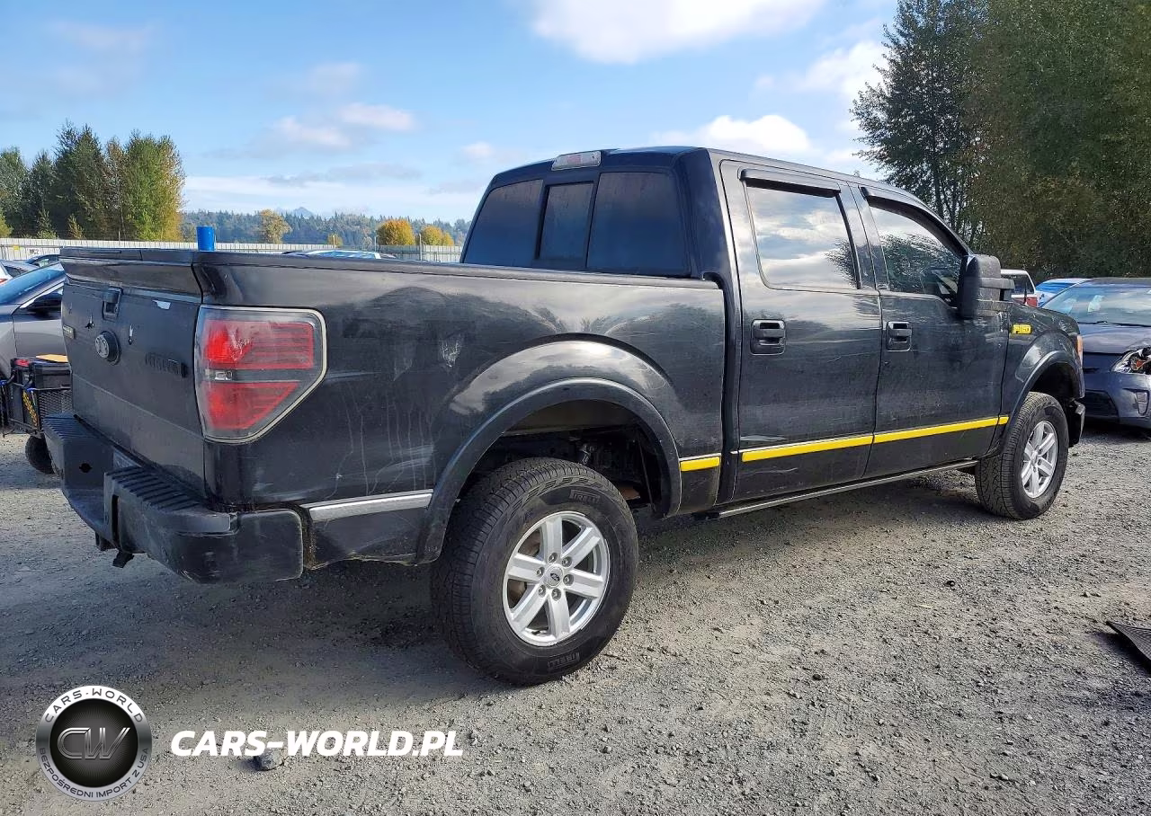 2011 Ford F150 Supercrew VIN:1FTFW1E63BFA51777 - 3