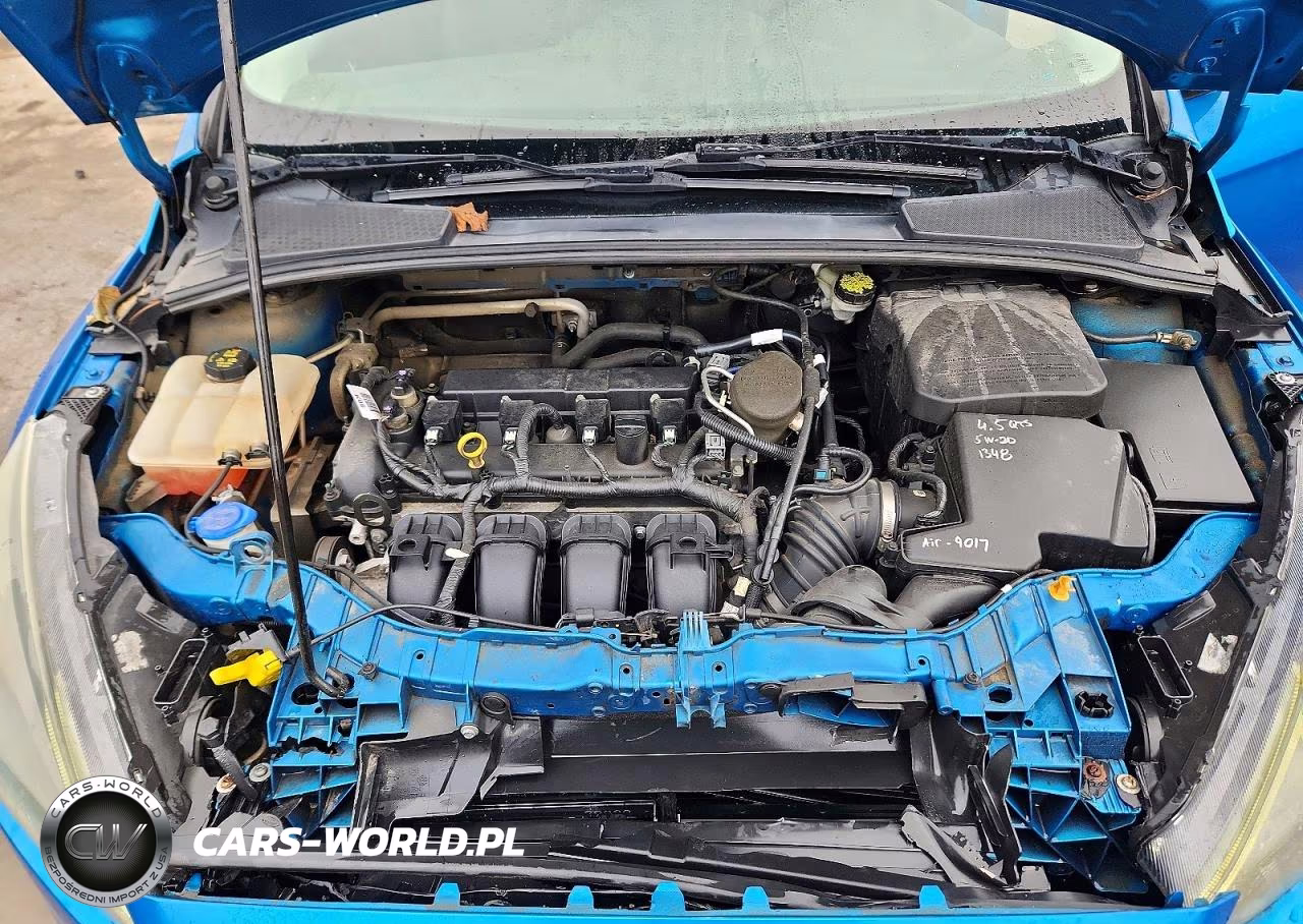 2015 Ford Focus Se VIN:1FADP3F23FL346662 - 11