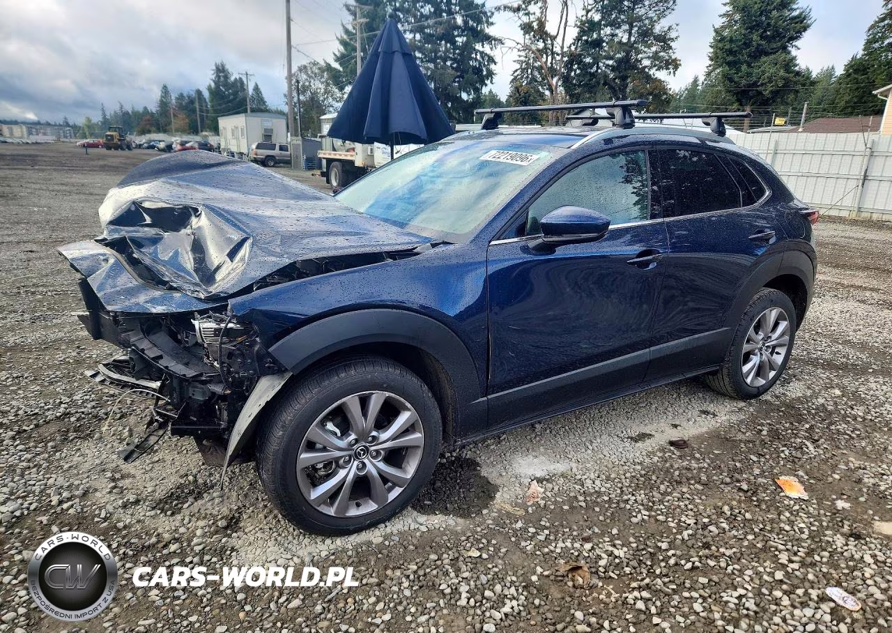2021 Mazda Cx-30 Premium VIN:3MVDMBDM7MM224642 - 1