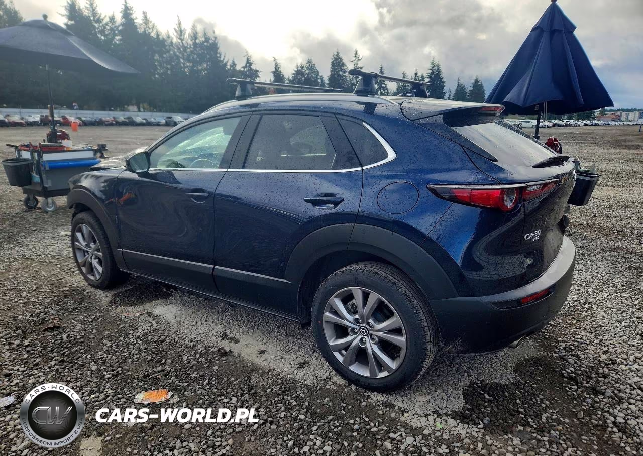 2021 Mazda Cx-30 Premium VIN:3MVDMBDM7MM224642 - 2