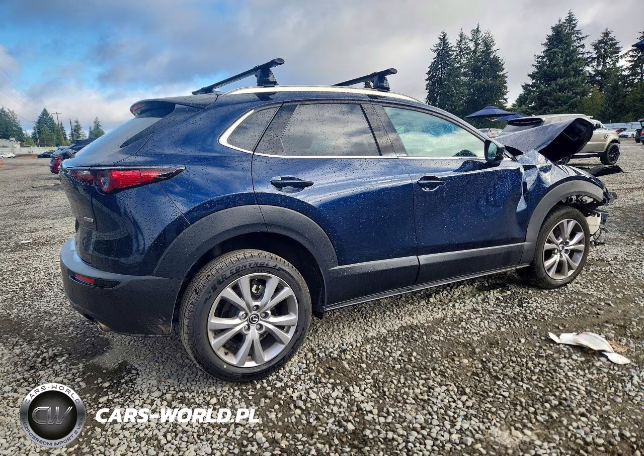 2021 Mazda Cx-30 Premium VIN:3MVDMBDM7MM224642 - 3