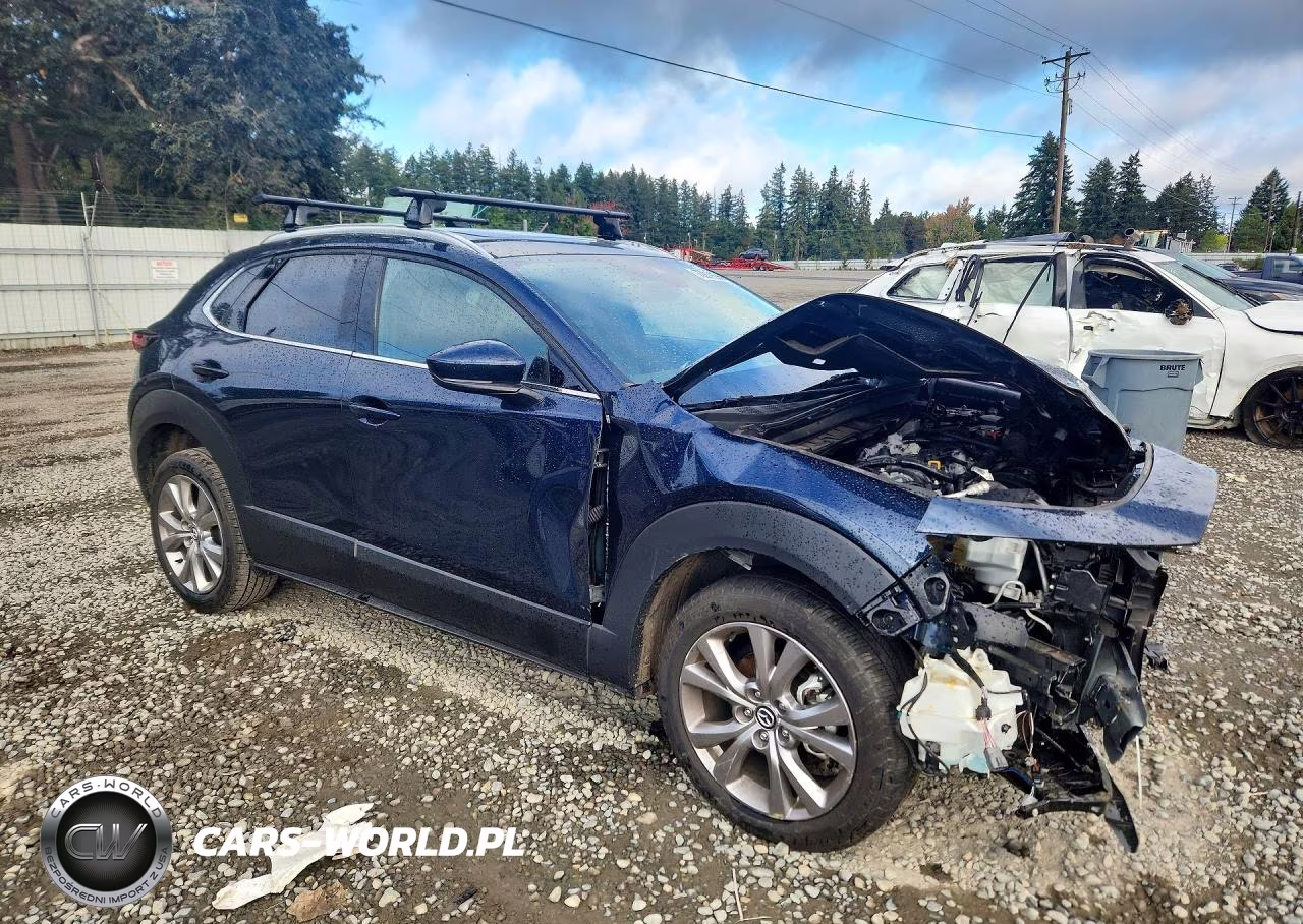 2021 Mazda Cx-30 Premium VIN:3MVDMBDM7MM224642 - 4