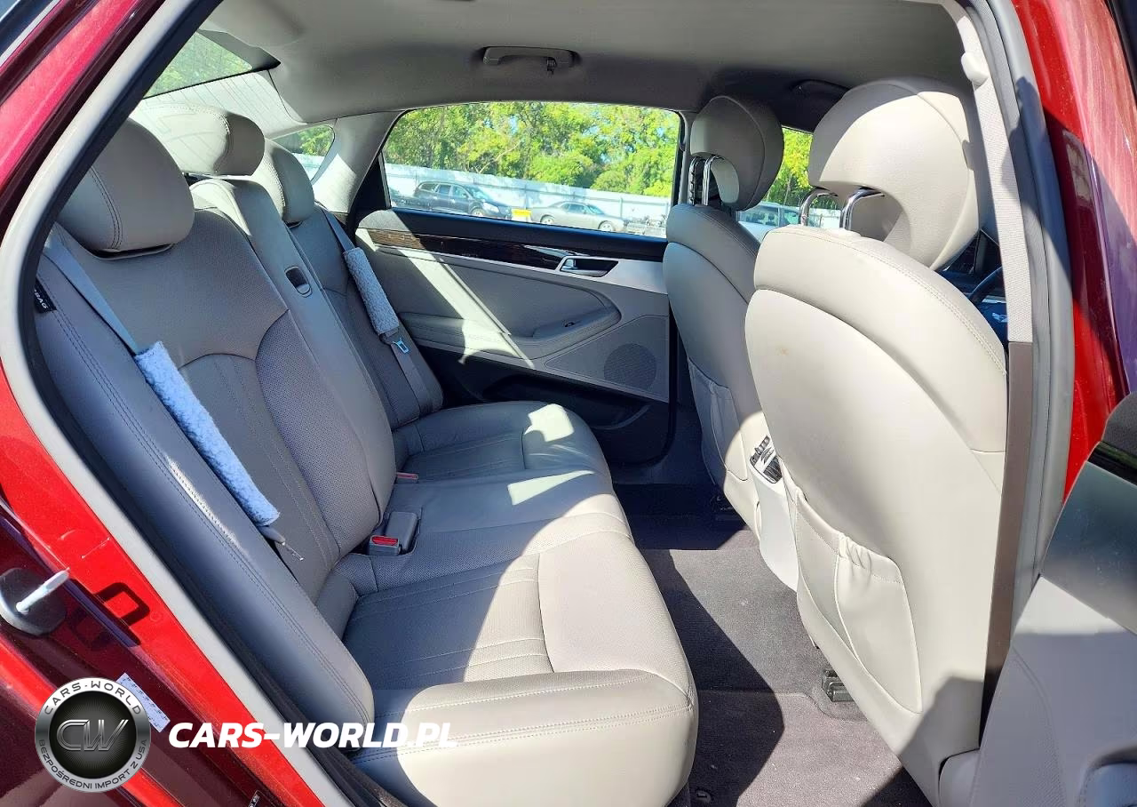 2016 Hyundai Genesis 3.8L VIN:KMHGN4JE1GU115142 - 10