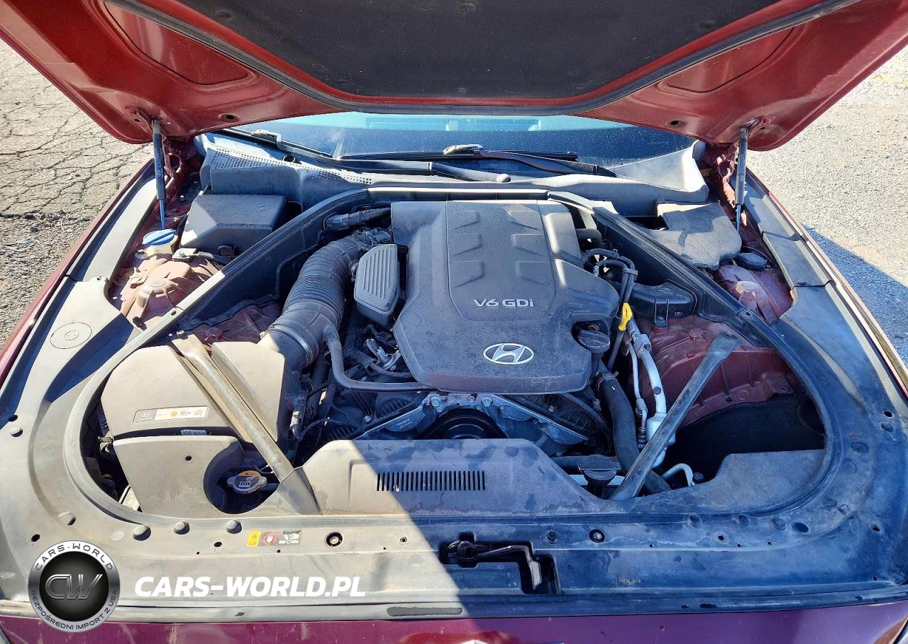 2016 Hyundai Genesis 3.8L VIN:KMHGN4JE1GU115142 - 11