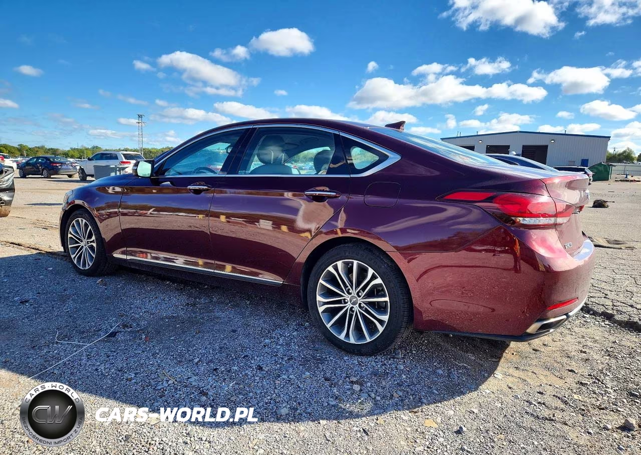 2016 Hyundai Genesis 3.8L VIN:KMHGN4JE1GU115142 - 2